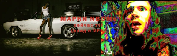 apvp Арсеньев