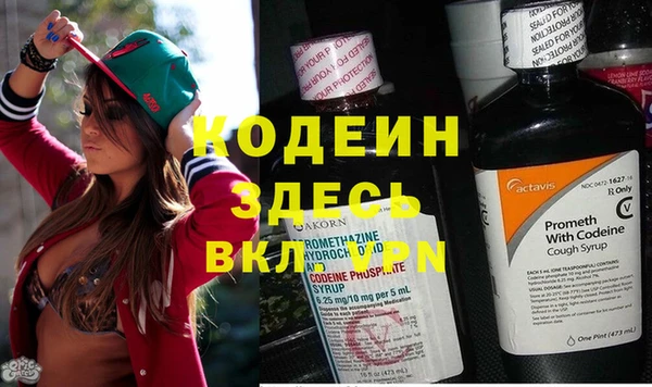 apvp Арсеньев