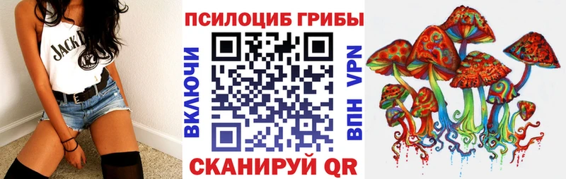 цена   Моздок  Галлюциногенные грибы Psilocybe 